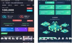 全面解析极客版imToken:加密钱包的未来与挑战