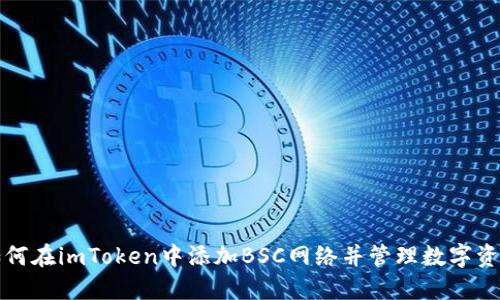 如何在imToken中添加BSC网络并管理数字资产