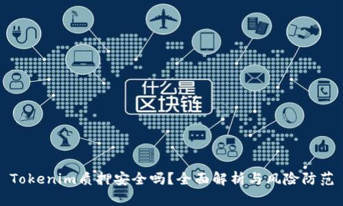 Tokenim质押安全吗?全面解析与风险防范