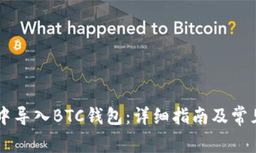 如何在IM中导入BTC钱包:详细指南及常见问题解答