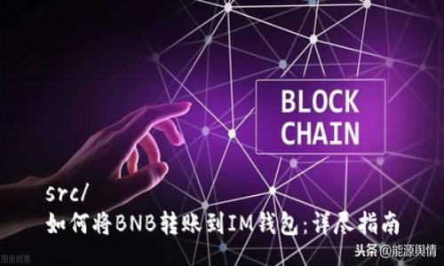 src/
如何将BNB转账到IM钱包:详尽指南