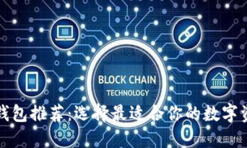比较安全的钱包推荐:选择最适合你的数字资产安全方案