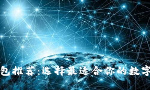 比较安全的钱包推荐:选择最适合你的数字资产安全方案