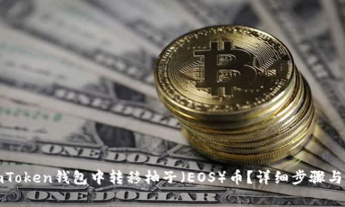 如何在imToken钱包中转移柚子(EOS)币?详细步骤与注意事项