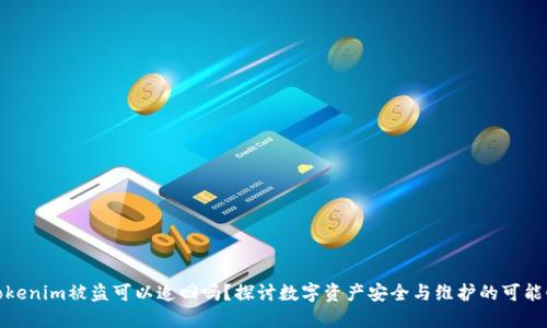 Tokenim被盗可以追回吗?探讨数字资产安全与维护的可能性