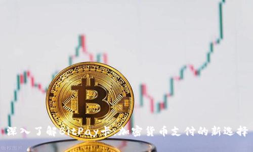 深入了解BitPay卡:加密货币支付的新选择