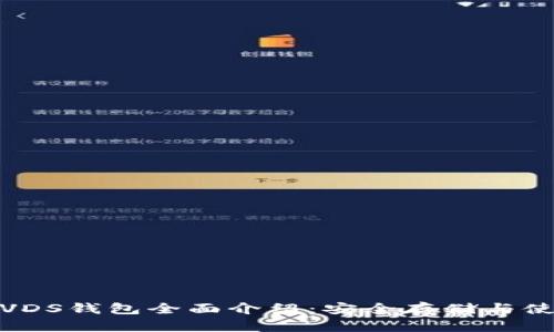 数字币VDS钱包全面介绍：安全存储与使用技巧