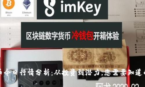 狗狗币今日行情分析:从投资到潜力,您需要知道的一切