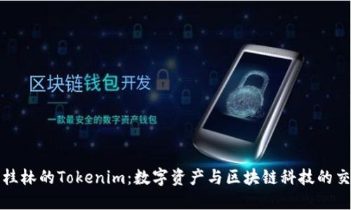 探索桂林的Tokenim:数字资产与区块链科技的交汇点