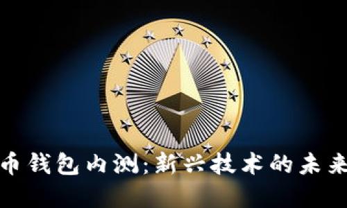 数字货币钱包内测:新兴技术的未来与挑战
