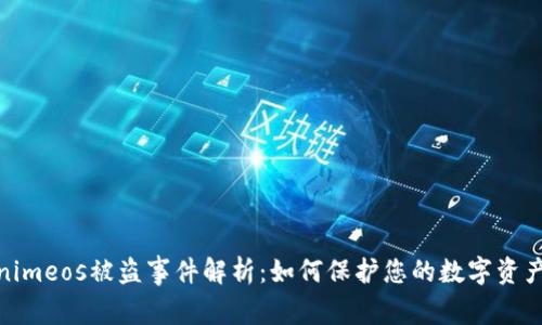Tokenimeos被盗事件解析:如何保护您的数字资产安全