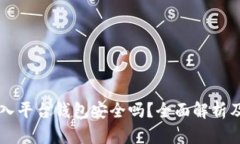 虚拟币放入平台钱包安全吗?全面解析及风险防