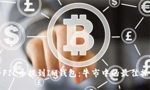 如何将FIL币提到IM钱包：牛市中的最佳操作指南