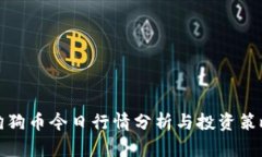 狗狗币今日行情分析与投资策略