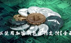 美国是否可以使用加密钱包进行支付?全面分析