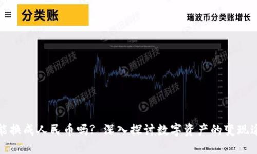 数字资产能换成人民币吗? 深入探讨数字资产的变现途径与风向