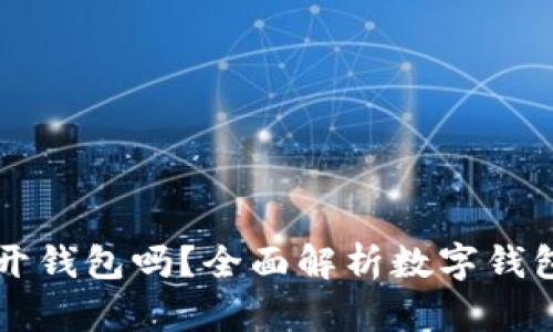 只有助记词可以打开钱包吗?全面解析数字钱包安全性及访问方式