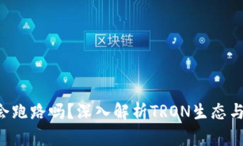 TRX波场会跑路吗?深入解析TRON生态与市场前景