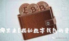 数字钱包里的钱从哪里来?揭秘数字钱包的资金