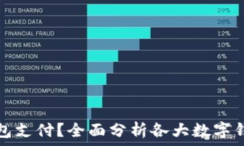 中国能用哪种数字钱包支付?全面分析各大数字钱包的优势与适用范围