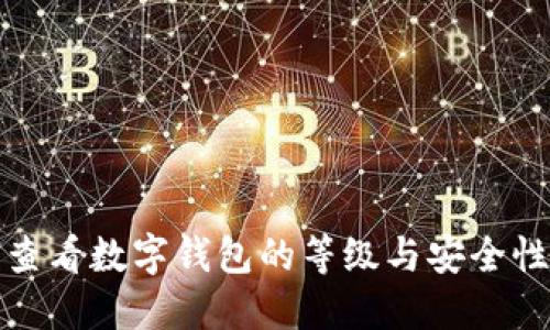 如何查看数字钱包的等级与安全性评估