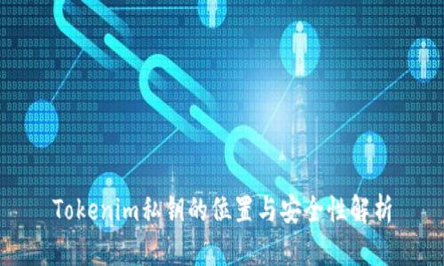 Tokenim私钥的位置与安全性解析