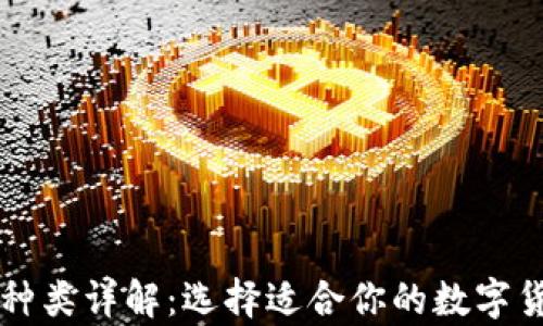 虚拟币钱包种类详解:选择适合你的数字货币存储方案