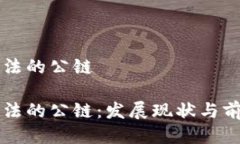 中国合法的公链中国合法的公链:发展现状与前
