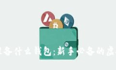 买虚拟币需要准备什么钱包:新手必备的虚拟货