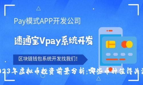 2023年虚拟币投资前景分析:哪些币种值得关注?