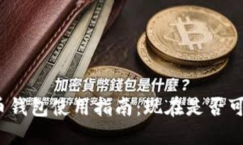 数字货币钱包使用指南:现在是否可以使用?