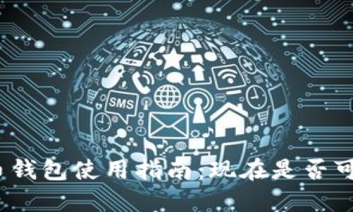 数字货币钱包使用指南:现在是否可以使用?