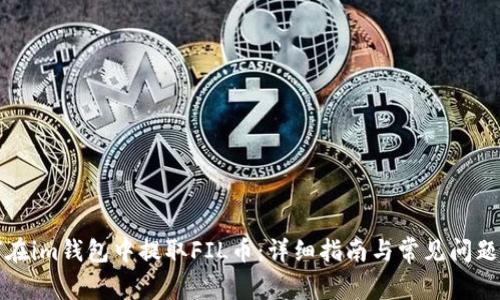 如何在im钱包中提取FIL币:详细指南与常见问题解答