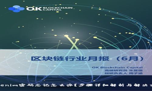 Tokenim密码忘记怎么办?步骤详细解析与解决方案
