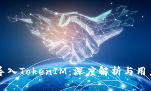 货币导入TokenIM:深度解析与用户指南