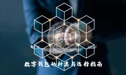 数字钱包的种类与选择指南