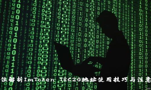 项目
全方位解析ImToken TRC20地址使用技巧与注意事项