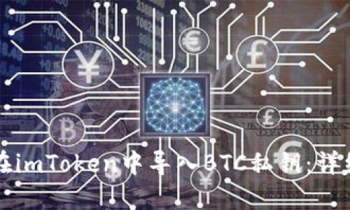 如何在imToken中导入BTC私钥:详细指南