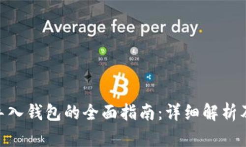 imToken导入钱包的全面指南:详细解析及使用技巧