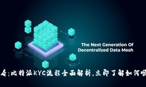 2025必看:比特派KYC流程全面解析,立即了解如何顺利通过!