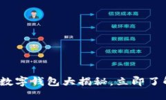 2025必看：数字钱包大揭秘，立即了解各种选择