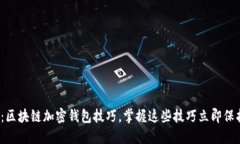 2025必看：区块链加密钱包技巧，掌握这些技巧立