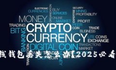 虚拟币离线钱包丢失怎么办？2025必看应对指南！