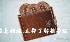 虚拟币诈骗应急措施：立即了解报警途径与防范