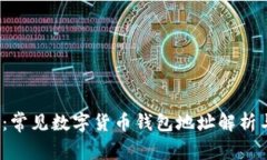 2025必看：常见数字货币钱包地址解析与使用指南