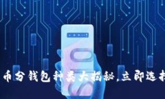 2025必看：数字货币分钱包种类大揭秘，立即选择