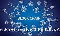 2025必看：808pay钱包充值平台推荐，立即了解！