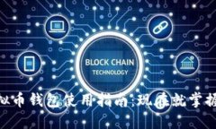 2025必看！虚拟币钱包使用指南：现在就掌握安全