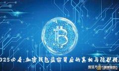 2025必看：加密钱包盗窃背后的真相与防护措施