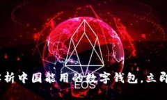 2025必看：深入解析中国能用的数字钱包，立即掌